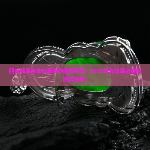 四叶翡翠珍珠水草