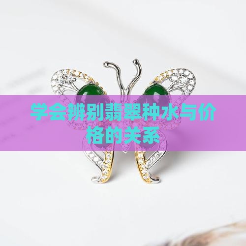 学会辨别翡翠种水与价格的关系