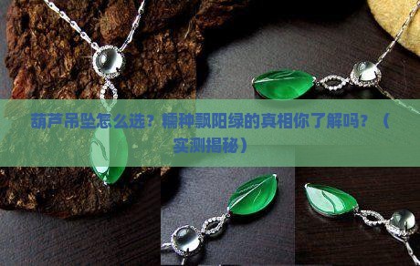 翡翠糯种飘阳绿葫芦吊坠