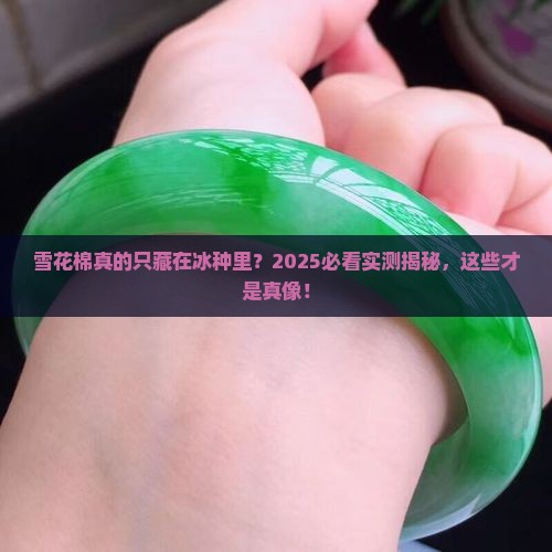 雪花棉只有冰种吗