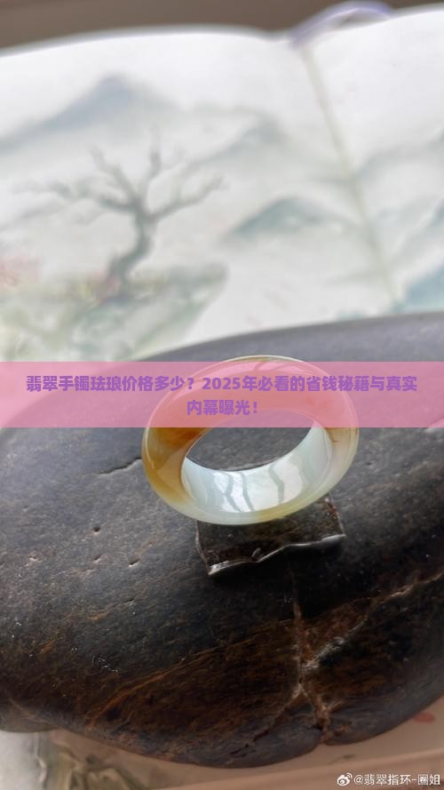 翡翠手镯珐琅价格多少