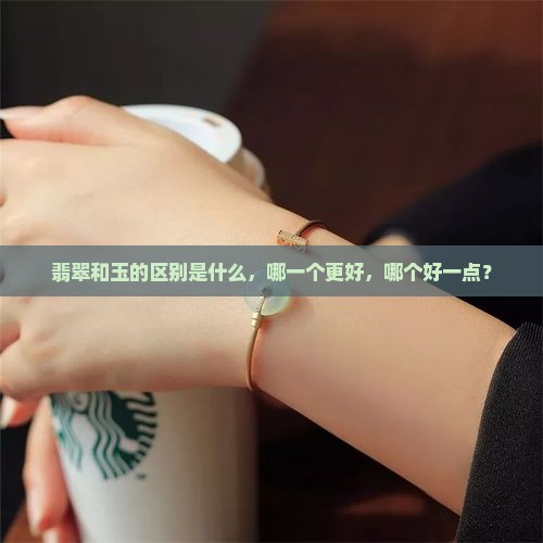 翡翠玉和玉哪个好一点