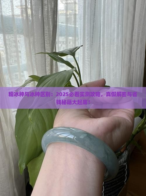 糯冰种与冰种区别