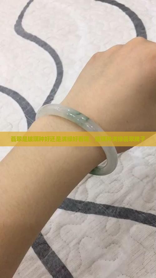 翡翠是玻璃种好还是满绿好看