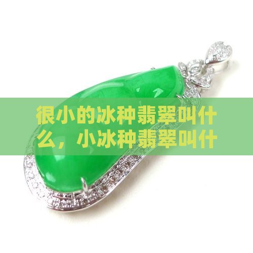 很小的冰种翡翠叫什么