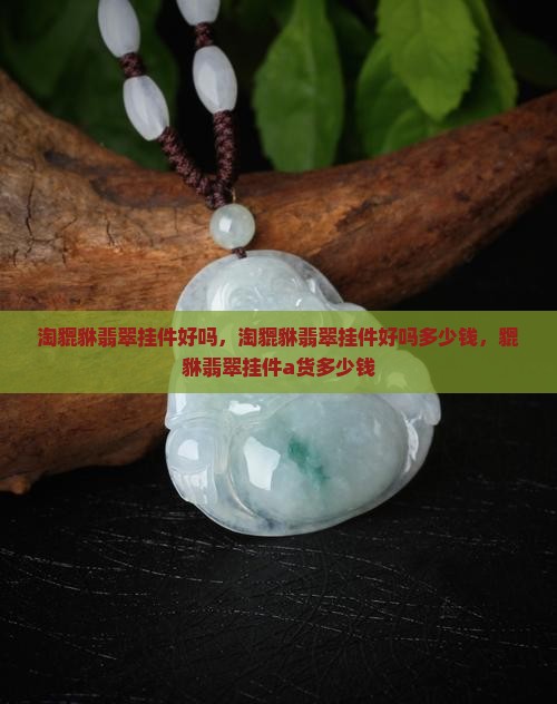 淘貔貅翡翠挂件好吗