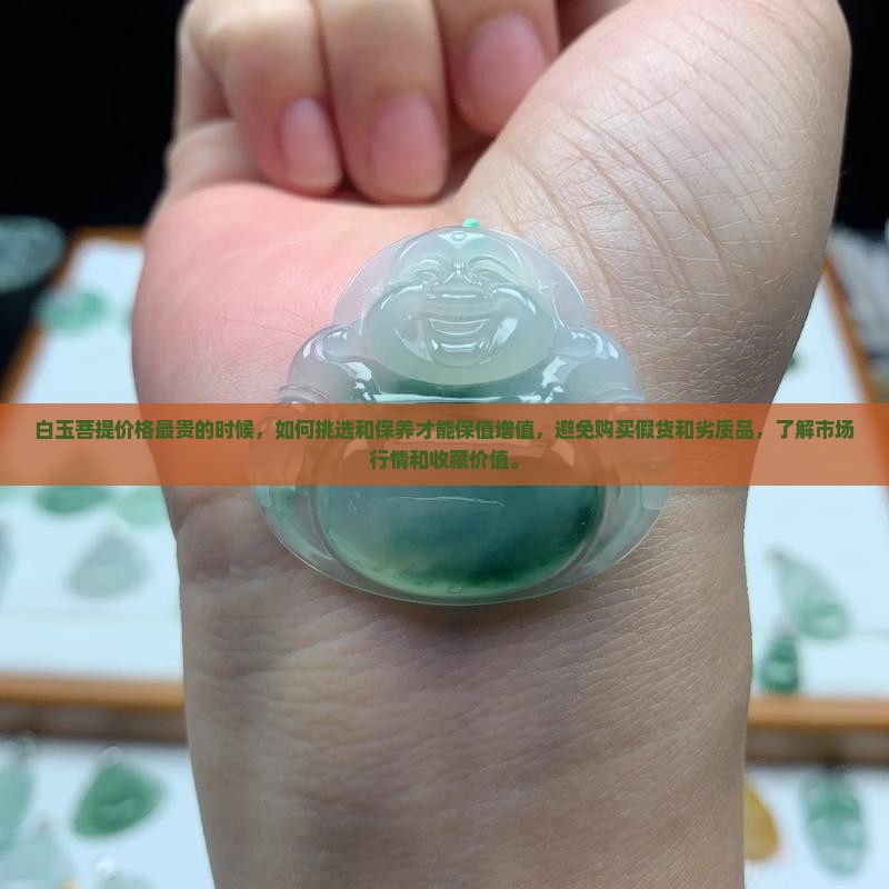 白玉菩提价格最贵的时候