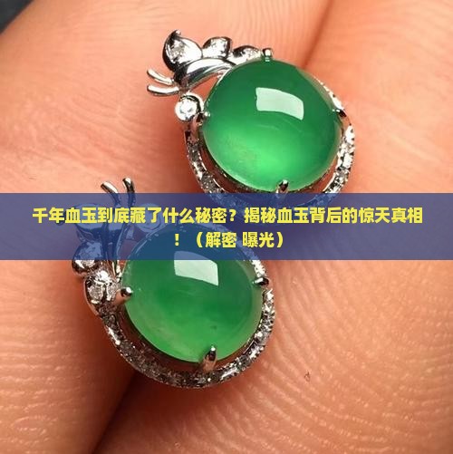 名家说宝千年血玉