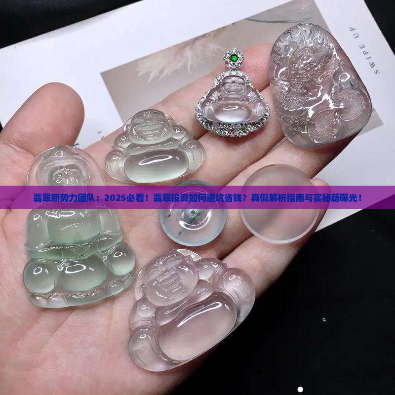 翡翠新势力团队