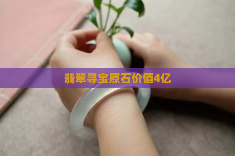 寻宝翡翠4亿
