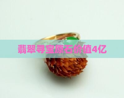 寻宝翡翠4亿