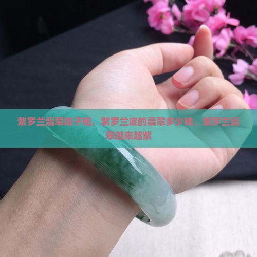 紫罗兰翡翠底子粗