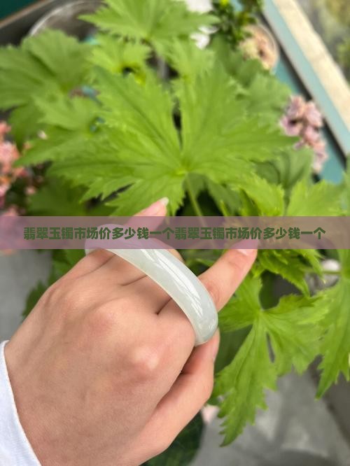 翡翠玉镯市场价多少钱一个