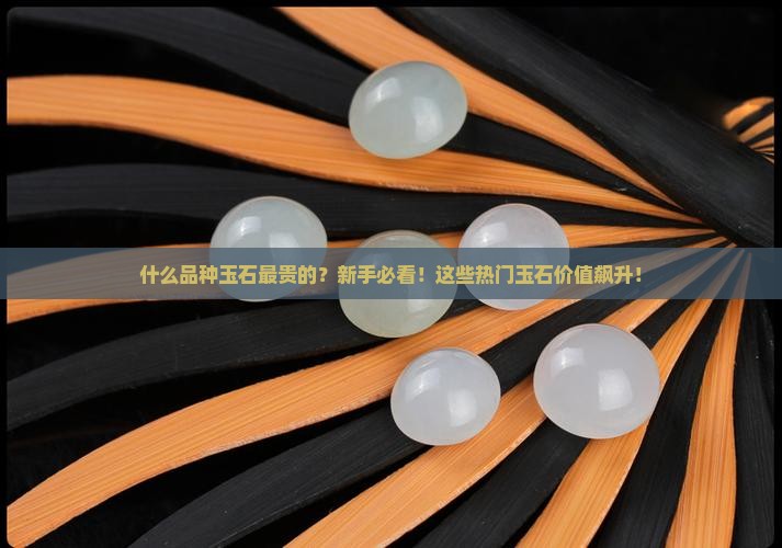 什么品种玉石最贵的