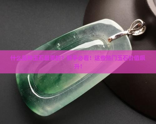 什么品种玉石最贵的