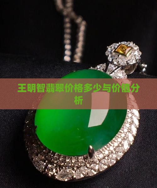 王明智翡翠价格多少