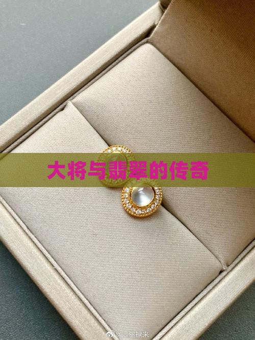大将与翡翠