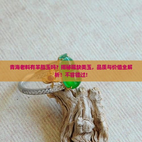 青海老料有羊脂玉吗