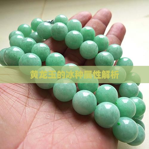 黄龙玉是冰种吗