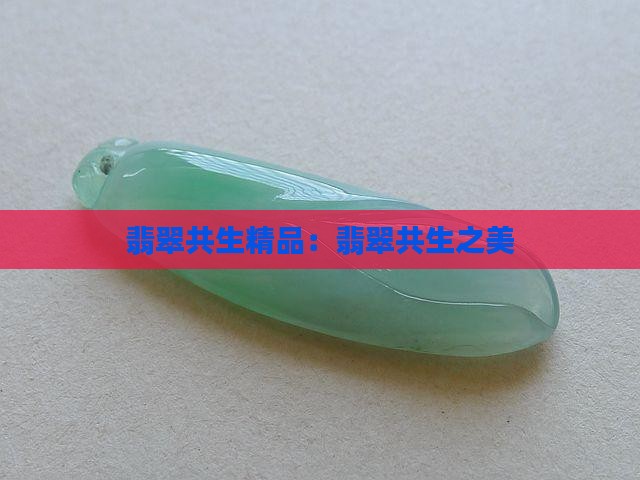 翡翠共生精品