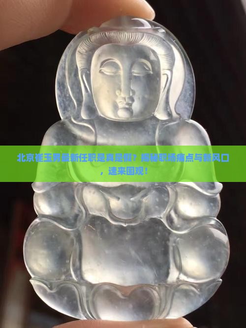 北京崔玉男最新任职