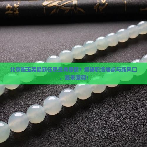 北京崔玉男最新任职