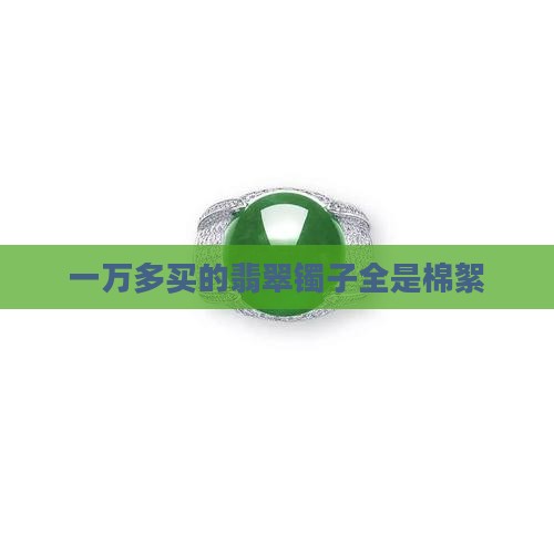 一万多买的翡翠镯子全是棉絮
