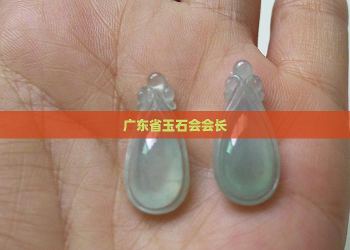 广东省玉石会会长