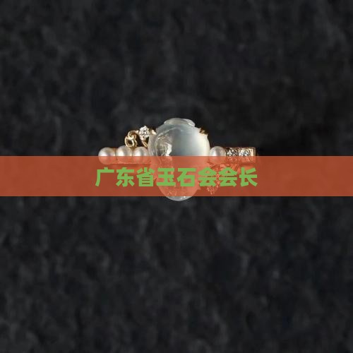 广东省玉石会会长
