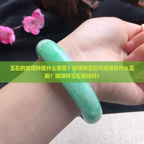 玉石的玻璃种是什么意思