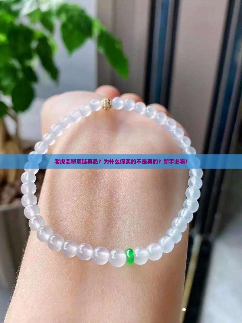 老虎翡翠项链真品