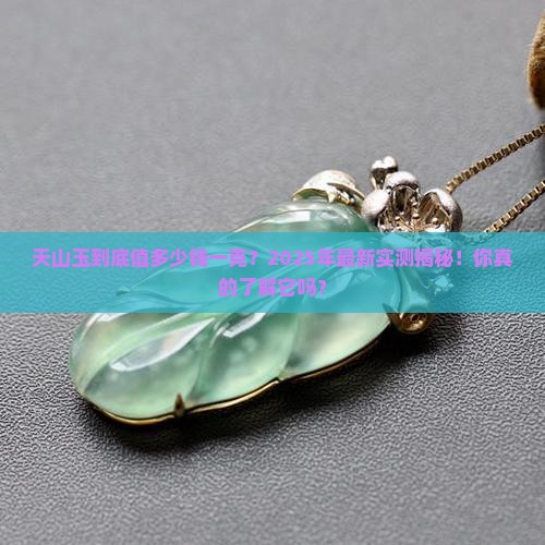 天山玉多少钱一克