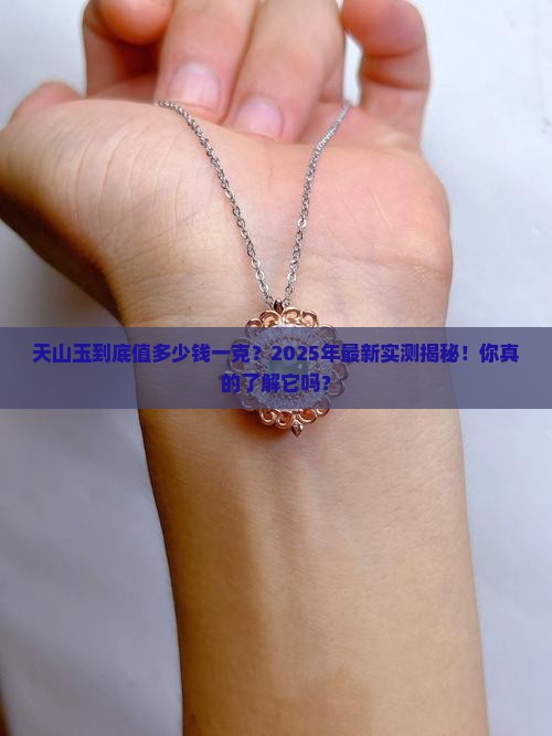 天山玉多少钱一克