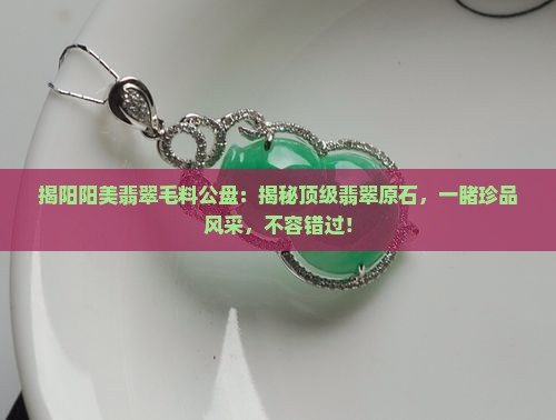 揭阳阳美翡翠毛料公盘