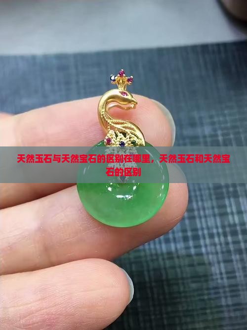 天然玉石与天然宝石的区别在哪里