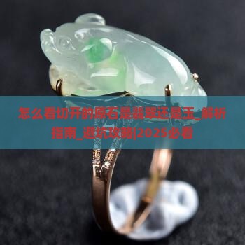 怎么看切开的原石是翡翠还是玉