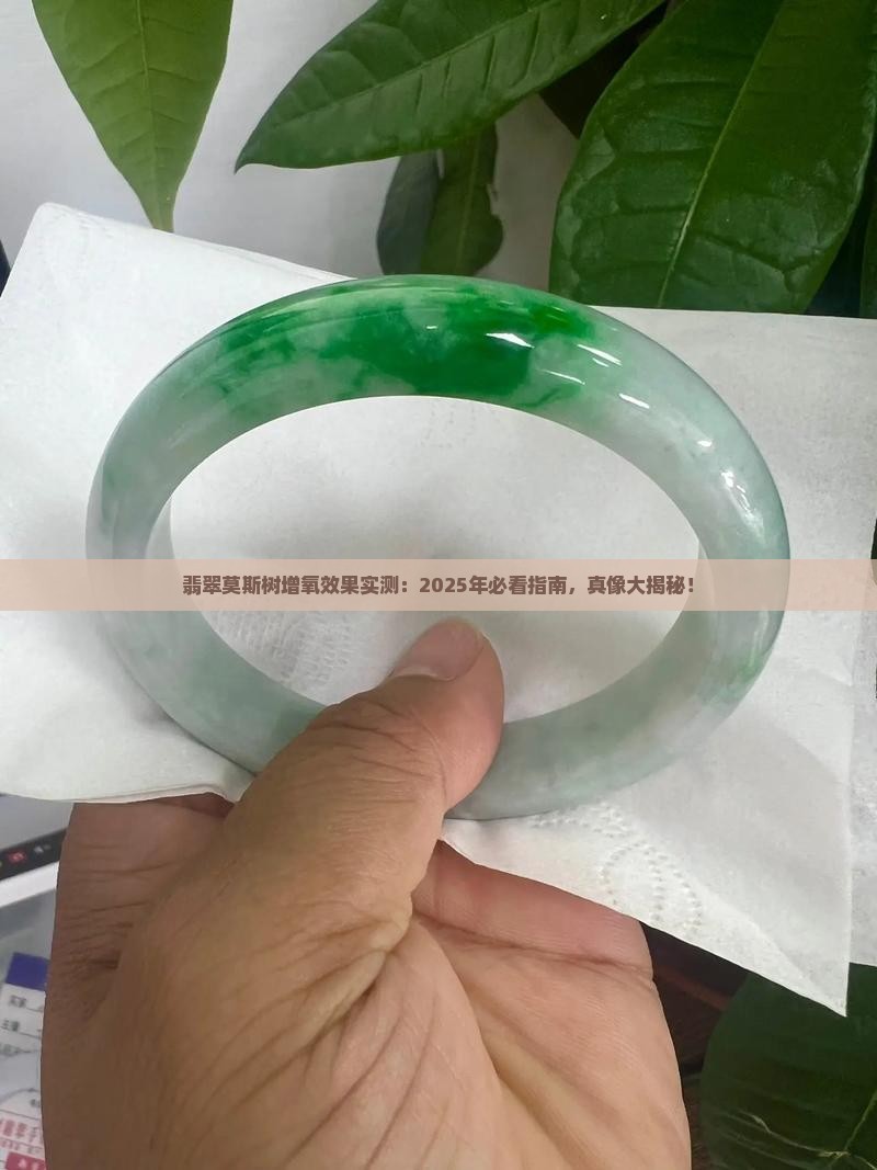 翡翠莫斯树增氧效果好吗