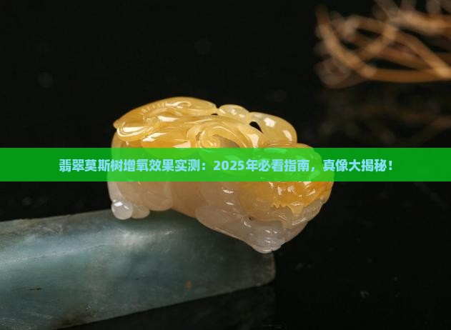 翡翠莫斯树增氧效果好吗