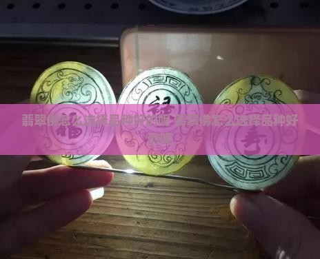 翡翠佛怎么选择品种好的呢
