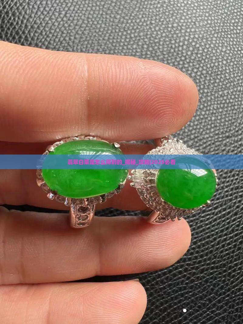 翡翠白菜是中国怎么得到的