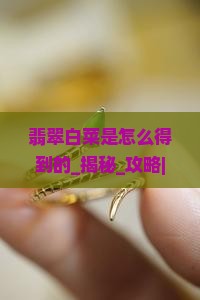 翡翠白菜是中国怎么得到的