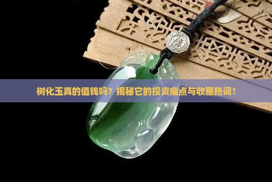 树化玉的价值与作用