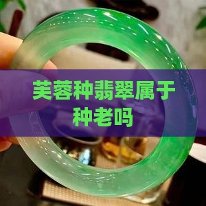 芙蓉种翡翠属于种老吗