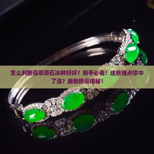 怎么判断翡翠原石冰种好坏