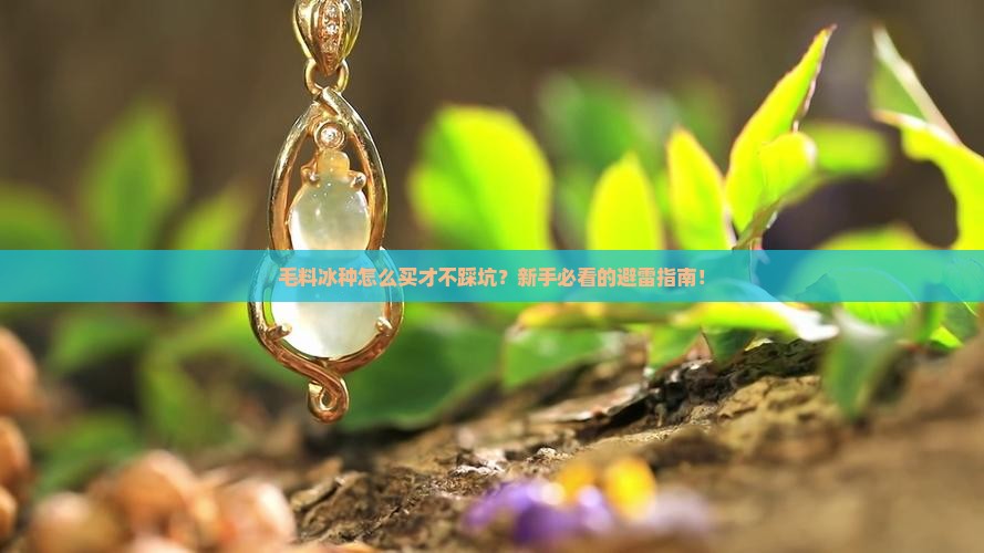 毛料冰种购买注意事项