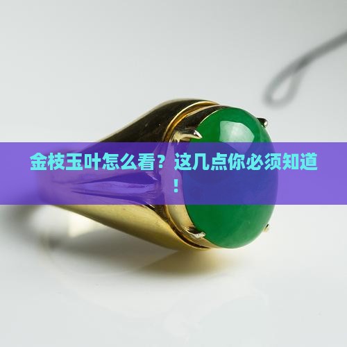 金枝玉叶怎么看