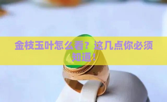 金枝玉叶怎么看