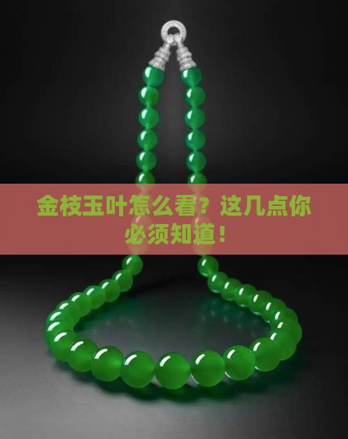 金枝玉叶怎么看