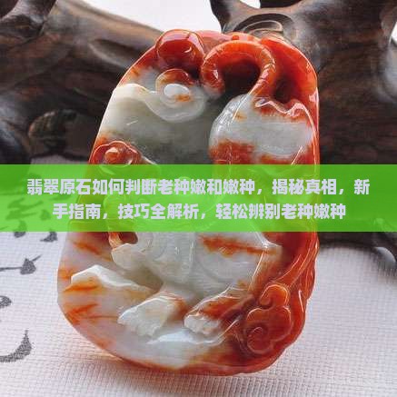 翡翠原石如何判断老种嫩和嫩种
