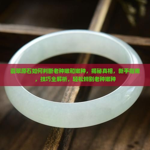 翡翠原石如何判断老种嫩和嫩种